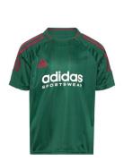 J Np Tee Tops T-shirts Short-sleeved Green Adidas Sportswear