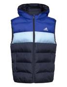 J Sd Vest Toppaliivi Blue Adidas Sportswear