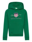 Archive Shield Raglan Hoodie Tops Sweat-shirts & Hoodies Hoodies Green...