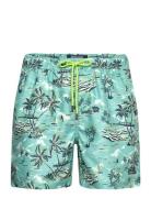 Paradise Swim Shorts Uimashortsit Blue Sebago