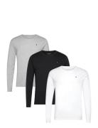 3P Ls Tee Tops T-shirts Long-sleeved White Tommy Hilfiger