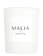 Notes Of Fig Candle Tuoksukynttilä Nude MALIA