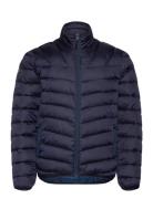 Aerons Puffer Jacket Vuorillinen Takki Topattu Takki Navy Napapijri