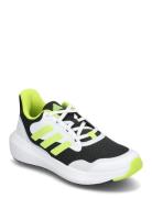 Fortarun 3.0 J Matalavartiset Sneakerit Tennarit Green Adidas Sportswe...