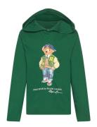 Polo Bear Cotton Jersey Hooded Tee Tops Sweat-shirts & Hoodies Hoodies...