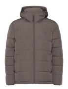 Jasper Puffer Jacket Vuorillinen Takki Topattu Takki Brown Sebago