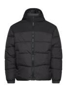 Jjmoon Hood Puffer Vuorillinen Takki Topattu Takki Black Jack & J S