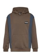 Hmlallton Hoodie Tops Sweat-shirts & Hoodies Hoodies Brown Hummel