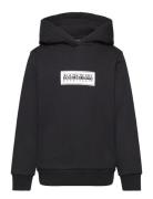 Chamois Hoodie Tops Sweat-shirts & Hoodies Hoodies Black Napapijri