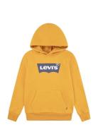 Levi's® Screenprint Batwing Pullover Hoodie Tops Sweat-shirts & Hoodie...