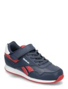 Reebok Royal Cl Jog 3.0 1V Matalavartiset Sneakerit Tennarit Navy Reeb...