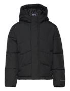 Jjworld Puffer Jacket Mni Toppatakki Black Jack & J S