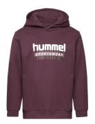 Hmltukas Hoodie Tops Sweat-shirts & Hoodies Hoodies Purple Hummel