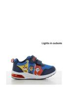 Paw Patrol Sneaker Matalavartiset Sneakerit Tennarit Blue Paw Patrol