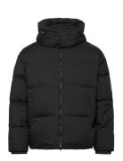 Down Jacket Vuorillinen Takki Topattu Takki Black Emporio Armani