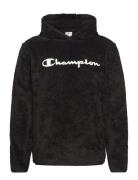 Hooded Top Tops Sweat-shirts & Hoodies Hoodies Black Champion