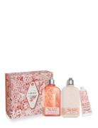 Cherry Body Gift 2024 Kylpysetti Ihonhoito Nude L'Occitane