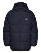 Hooded Jacket Vuorillinen Takki Topattu Takki Navy Champion