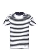 Essential Cotton Reg Fit Tee Ss Tops T-shirts Short-sleeved Navy Tommy...