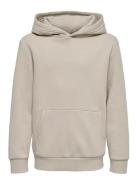 Osjceres Hoodie Swt Noos Tops Sweat-shirts & Hoodies Hoodies Grey ONLY...