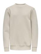 Osjceres Crew Neck Swt Noos Tops Sweat-shirts & Hoodies Sweat-shirts G...