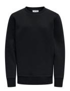 Osjceres Crew Neck Swt Noos Tops Sweat-shirts & Hoodies Sweat-shirts B...