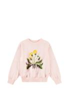 Marge Tops Sweat-shirts & Hoodies Sweat-shirts Pink Molo