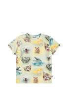 Easy Tops T-shirts Short-sleeved Green Molo