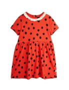 Dots Aop Lace Ss Dress Dresses & Skirts Dresses Casual Dresses Short-s...