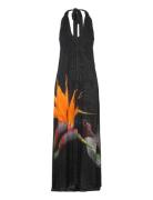 Colibrí Dress Maksimekko Juhlamekko Black Desigual