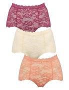 Lace Maxi 3-Pack Hipsterit Alushousut Alusvaatteet Multi/patterned Mis...