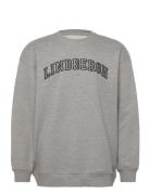 Logo Sweat Tops Sweat-shirts & Hoodies Sweat-shirts Grey Lindbergh