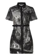 Tropic Litography L Lyhyt Mekko Black Desigual