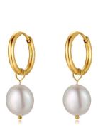 Sienna Mini Pearlearring, Gold Korvakoru Korut Gold By Jolima