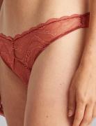 Bikini Alushousut Brief Tangat Pink Calvin Klein