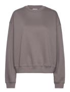 Standard Sweatshirt Tops Sweat-shirts & Hoodies Sweat-shirts Brown Wee...