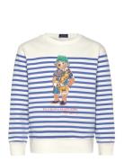 Striped Polo Bear Fleece Sweatshirt Tops Sweat-shirts & Hoodies Sweat-...