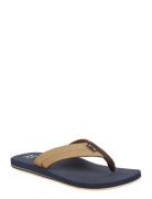 All Day Impact Flipflopit Rantasandaalit Sandaalit Navy Billabong