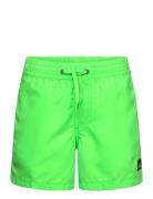 Everyday Solid Volley Yth 14 Uimashortsit Green Quiksilver