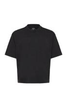 Hco. Guys Knits Tops T-shirts Short-sleeved Black Hollister