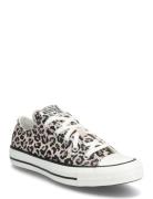 Chuck Taylor All Star Sport Sneakers Low-top Sneakers Multi/patterned ...