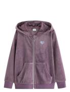 Hoodjacket Velour Solid Tops Sweat-shirts & Hoodies Hoodies Purple Lin...
