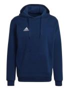 Ent22 Hoody Tops Sweat-shirts & Hoodies Hoodies Navy Adidas Performanc...