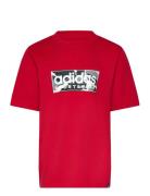 B Camo Lin Tops T-shirts Short-sleeved Red Adidas Sportswear