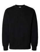 Slhreg-Dan Sweat Crew Neck Tops Sweat-shirts & Hoodies Sweat-shirts Bl...
