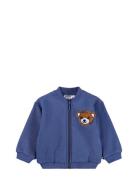 Dazzle Tops Sweat-shirts & Hoodies Sweat-shirts Navy Molo