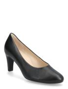 Pumps Shoes Heels Pumps Classic Black Gabor