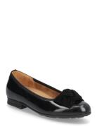 Ballerina Ballerinat Black Gabor