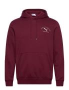 Puma Class Graphic Hoodie Fl Tops Sweat-shirts & Hoodies Hoodies Burgu...