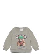 Tnstpippin Os Sweatshirt Tops Sweat-shirts & Hoodies Sweat-shirts Grey...